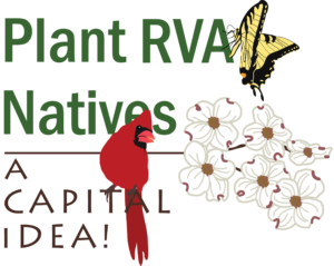 Plant Rva Natives A Capital Idea Logo