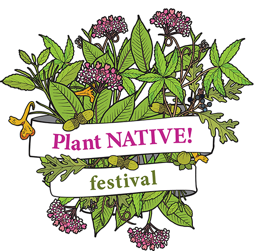 Plant Native Festival logo with illustrations of native flowers.
