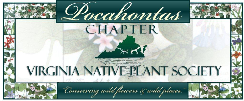 logo for the Pocahontas chapter of the virginia native plant society