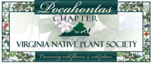 logo for Pocahontas Virginia Native Plant Society