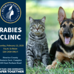 Rabies Clinic 2025 02 22