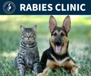 German Shepherd and a cat with the Henrico Police logo and words "Rabies Clinic."