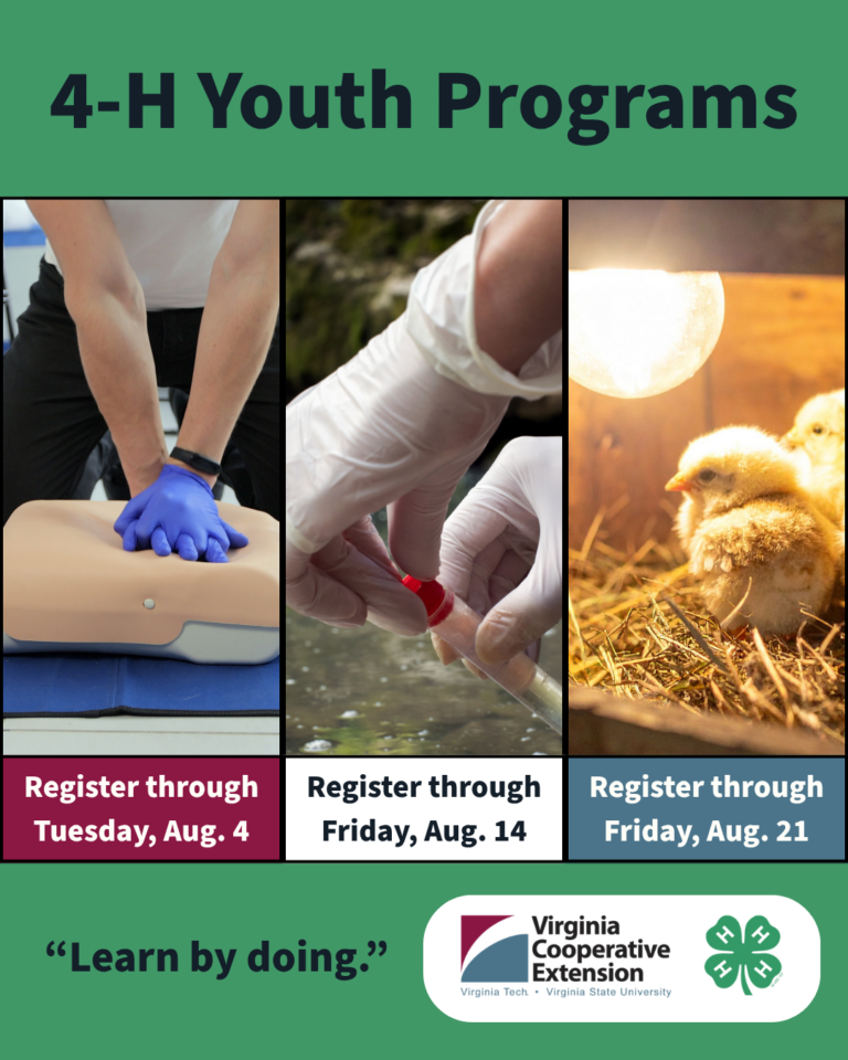 A graphic says "4-H youth programs."