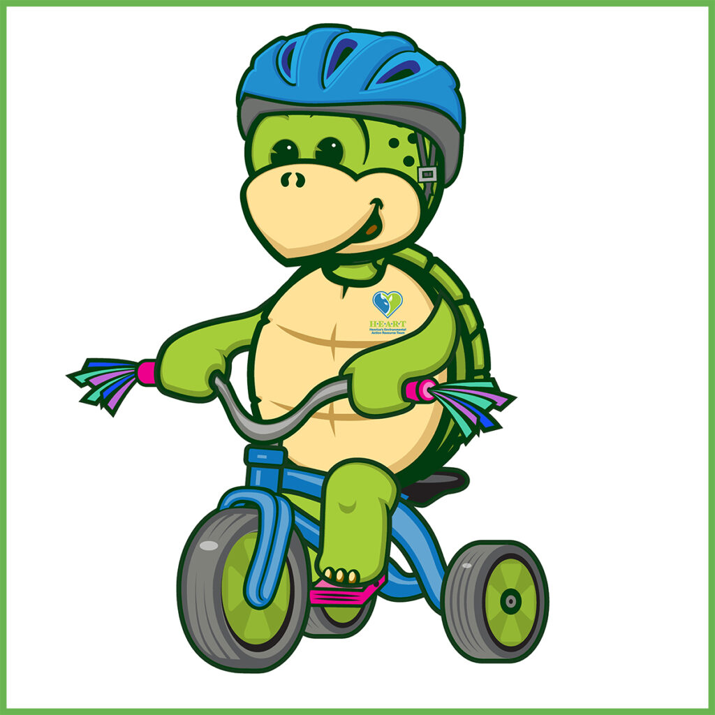 Drawing of Stewart the turtle in a helmet, riding a tricycle.