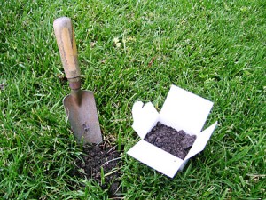 Soil Test