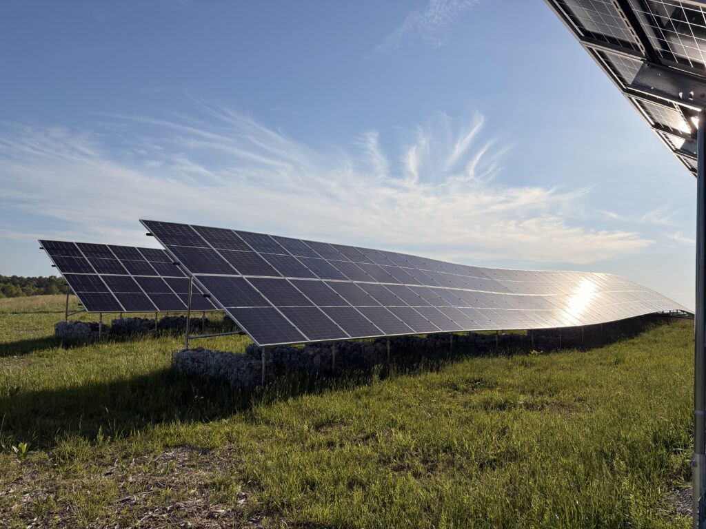 A photo of solar panels in a grassy field underneath a blue sky.