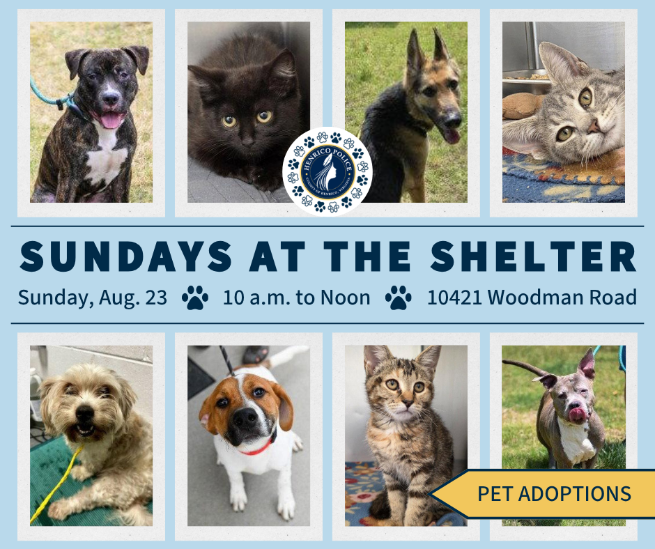 A graphic says "Sundays at the shelter from 10 a.m. to noon Aug. 23 at 10421 Woodman Road."