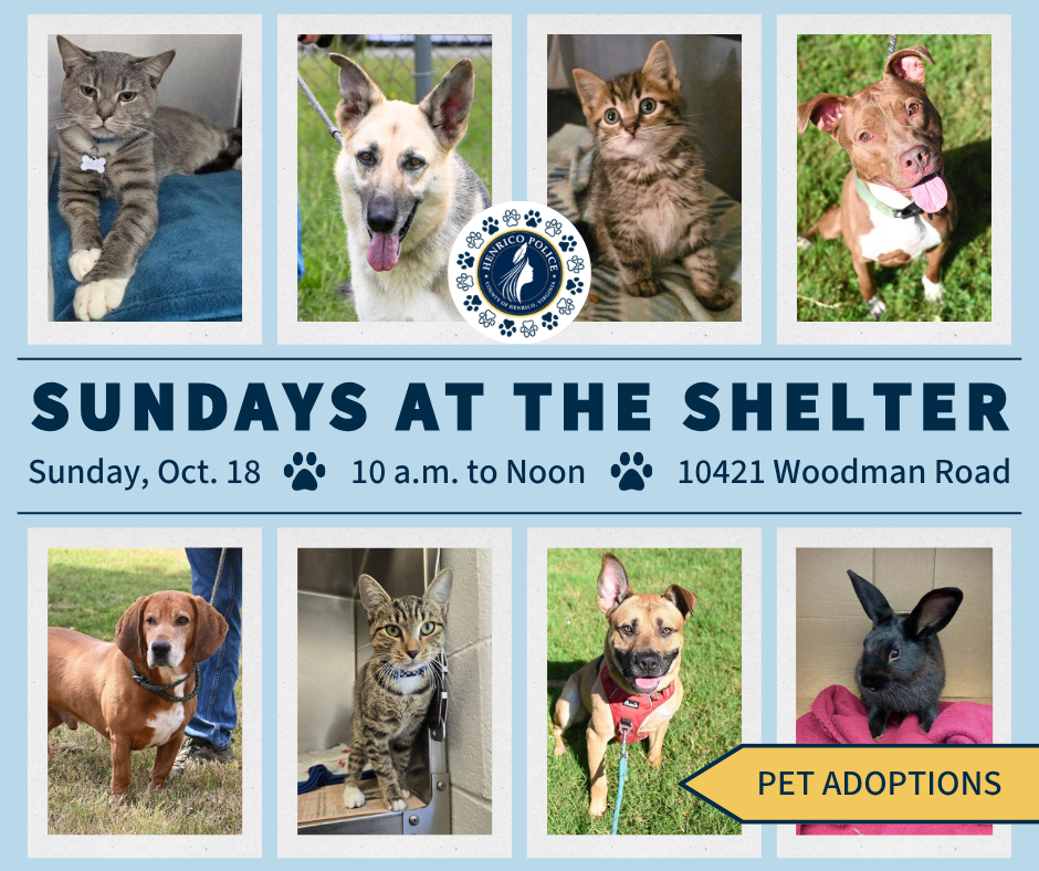 A graphic shows photos of cats, dogs and rabbit with text that reads "adoption event from 10 a.m. to noon at 10421 Woodman Road on Sunday, Oct. 18."