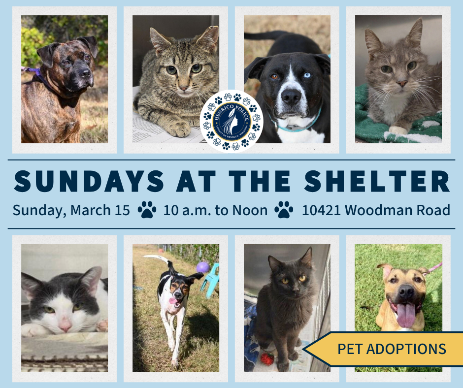 A graphic says "Sundays at the shelter pet adoption event on Saturday, March 15 from 10 a.m. to noon at 10421 Woodman Road."