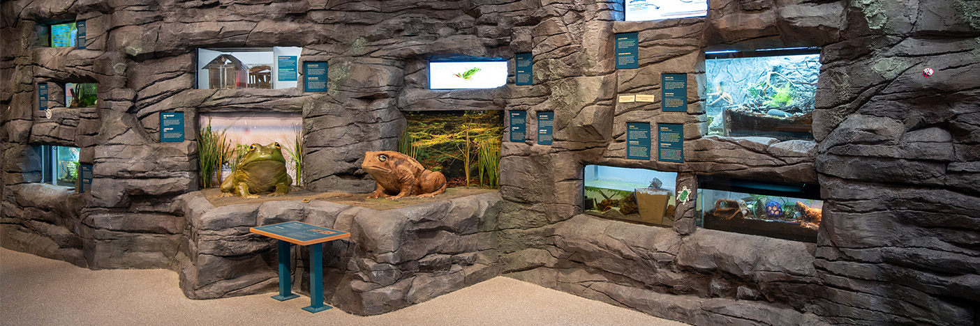 Three Lakes Animal Exhibits