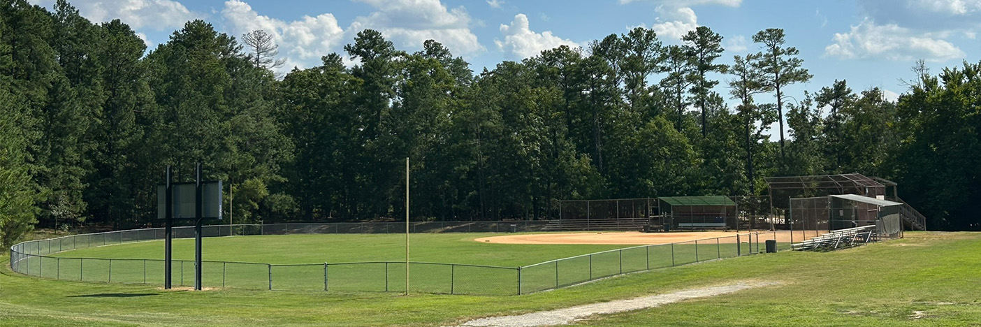 View of field 5 from the hill.