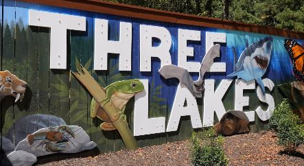A mural depicts a frog, turtle, bat and shark and says "Three Lakes."