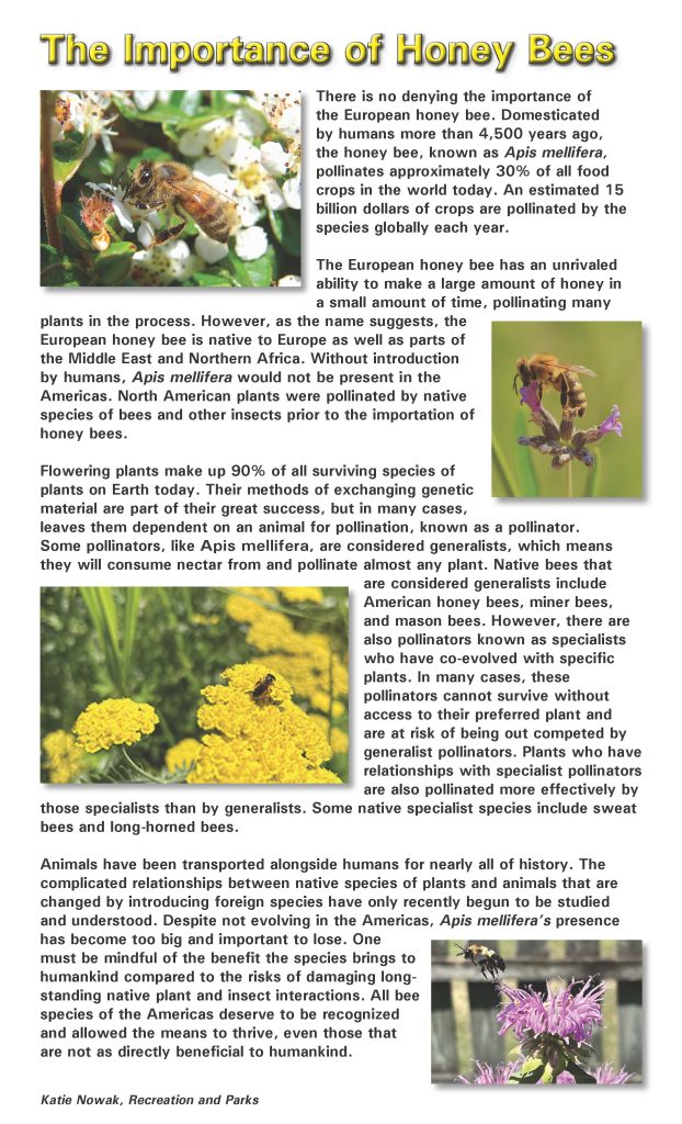 Poster entitled The Importance Of Honey Bees in bright yellow. Black text interspersed with 4 photos of bees on various plants.