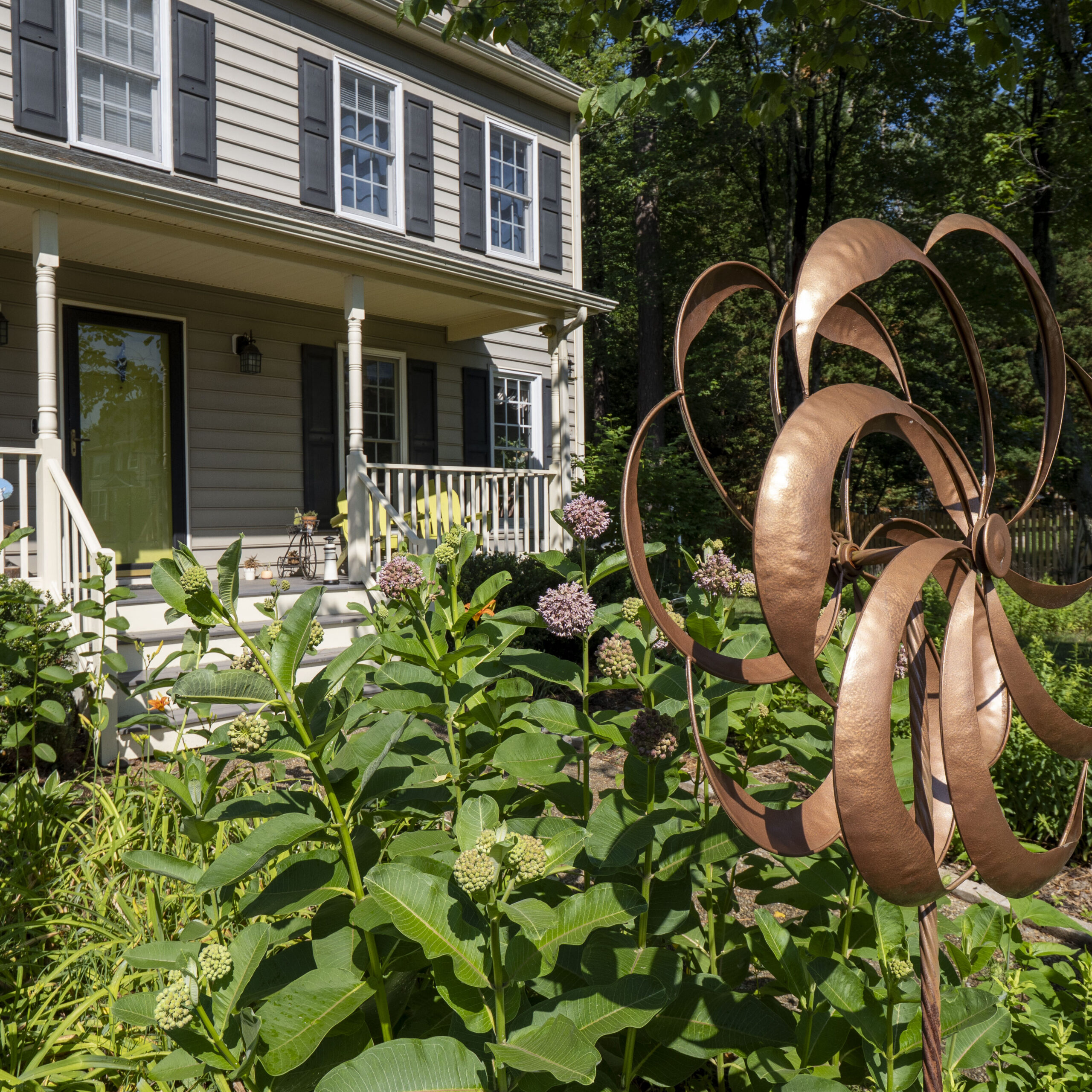 A large clump of swamp milkweed blooming in pink clumps behind a decorative copper windmill.