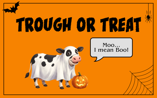 Title: Trough or Treat with image of cow dressed as a ghost, pumpkin, and spiderweb.