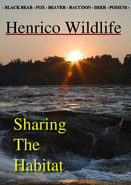 Wildlife_Share_Habitat_DVD_Cover