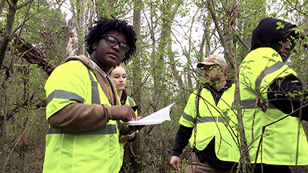 Volunteers in bright safety vests assess trees.