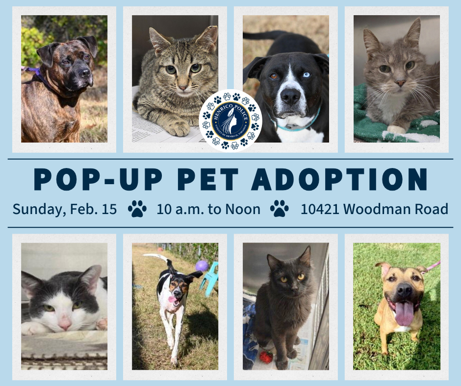 A graphic says "Pop-up pet adoption Sunday, Feb. 15 from 10 a.m. to noon at 10421 Woodman Road."