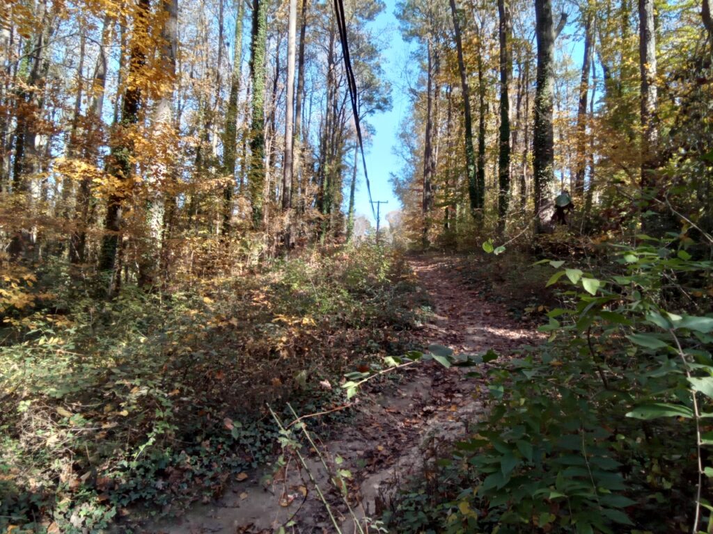 Trail through wooded property with powerline overhead.