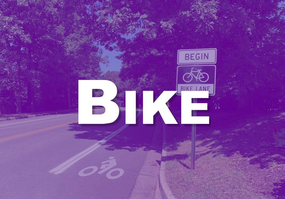 Photo of bike lane on a street with begin bike line sign on the right. Trees line both sides of the street & Bike is superimposed in white text.