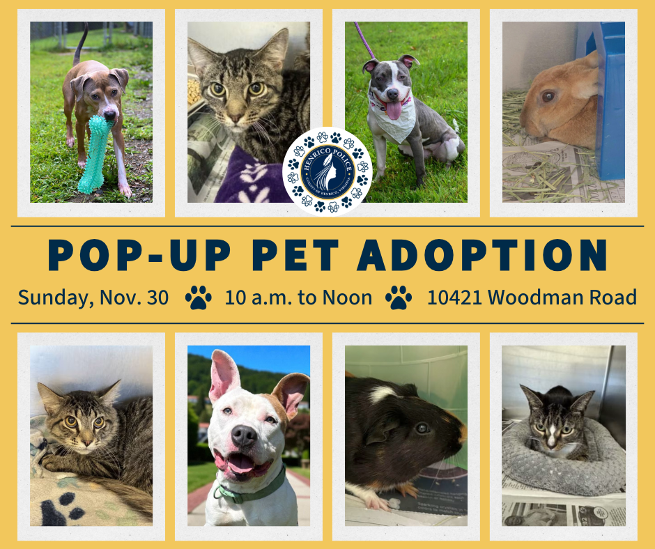 A graphic reads "pop-up pet adoption on Nov. 30 from 10 a.m. to noon at the 10421 Woodman Road."