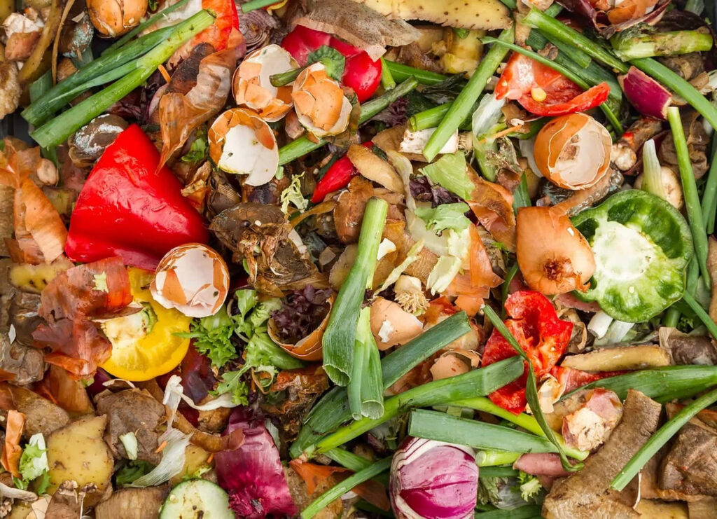 An image of food waste with broken egg shells, red and green peppers, onions, and other vegetable scraps.