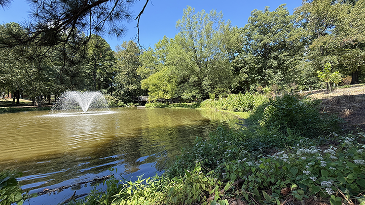 View of lake with trees on the right and a water feature on the left in the water.