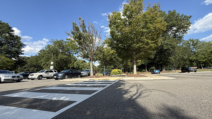 Parking lot. with tree, crosswalk and cars.