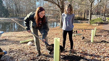 Woman and girl covering tree planting with mulch.