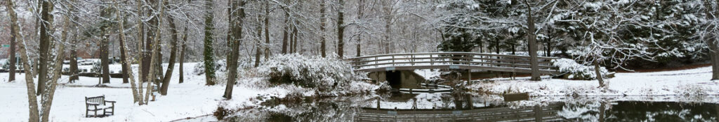 Winter scene at a lake.