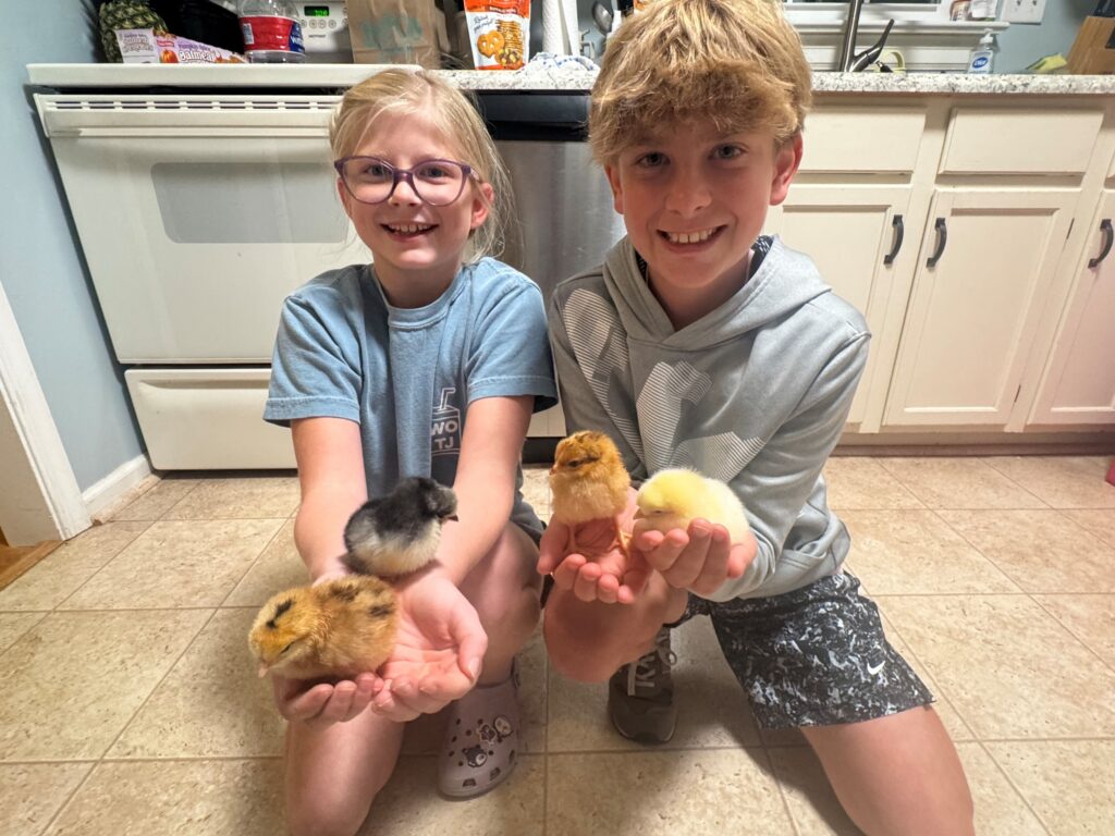 Two children smile while they hold chicks.