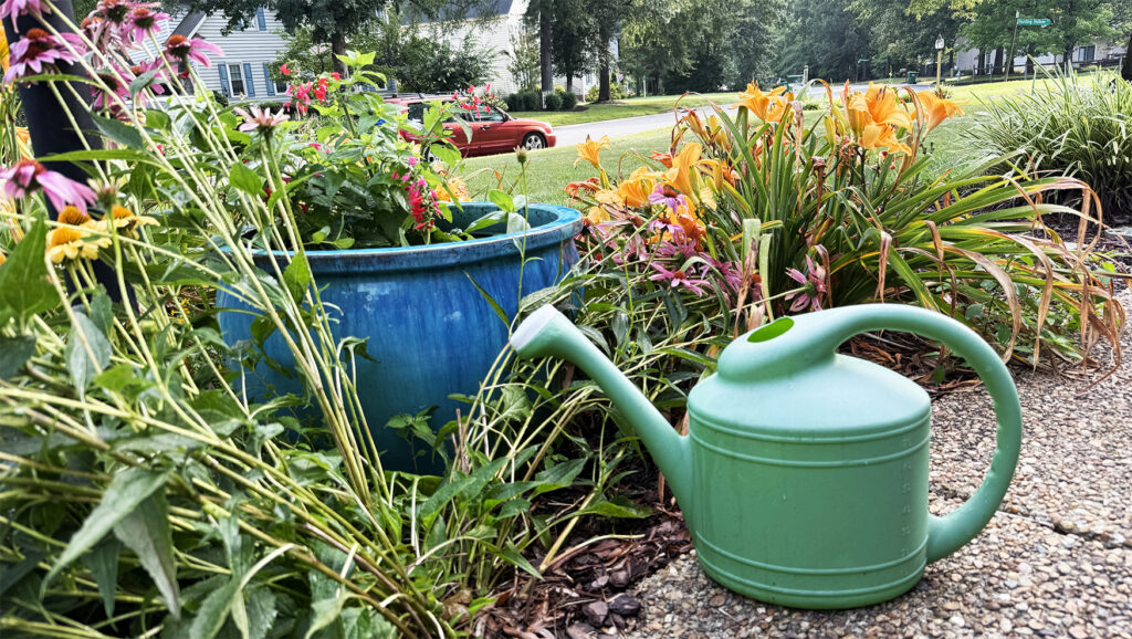 Photo of flowers and a water pitcher.
