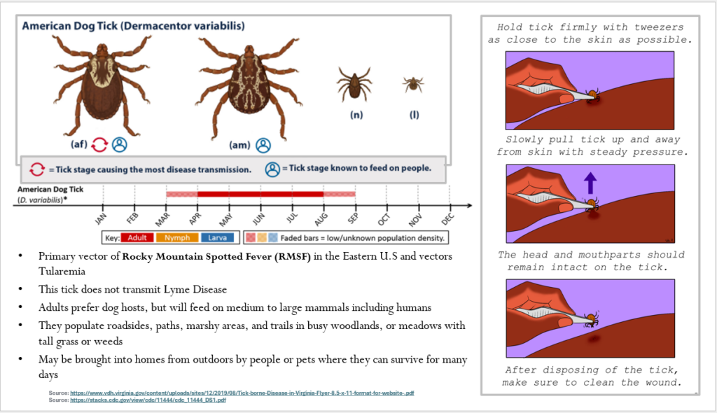 Snippit Of Dog Tick Card