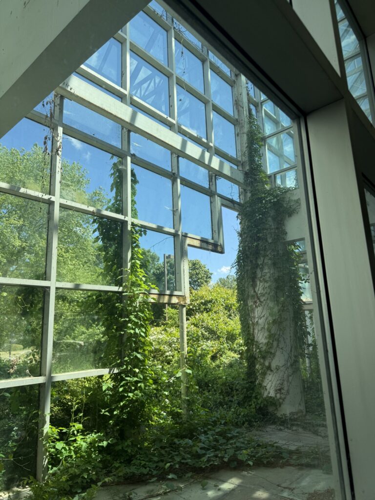 Trees and vines creep into an opening to a glass wall.